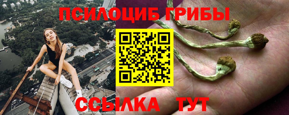 Галлюциногенные грибы прущие грибы  Галлюциногенные грибы Psilocybine cubensis  дарнет шоп  Вход с VPN  Лобня 